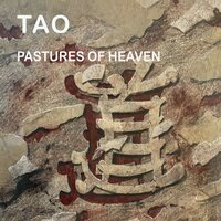 Wind Blows - Tao