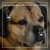 Tired Dog Chill Out - Relaxing Dog Chillout