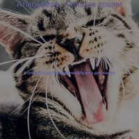 Моменты (Кошки) - Музыка для кошек