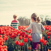 Quiet Place - Baby Sleep Music & Lullabies for Deep Sleep & Baby Sleep Aid