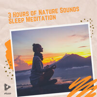 New Green Adventure - #Sleep & Sleep Sounds Of Nature
