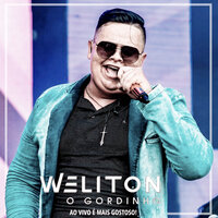 Não Planeje Nada - Weliton O Gordinho