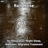 Sounds of Rain for All Ages - Rain Sounds to Fall Asleep To & Nature Sounds & Rain Sounds