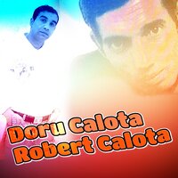 Suflet De Tiganca - Robert Calota & Doru Calota