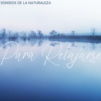 Armonía de los Sentidos - Meditação Música Ambiente