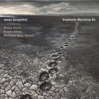 (Peaceful) Life Upon a Dying Star - Jonas Sorgenfrei & Wanja Slavin & Rainer Böhm & Matthias Akeo Nowak