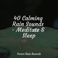 Heavy Ocean Waves - Sound Healing Center & Sounds of Rain & Thunder Storms & Namaste Yoga