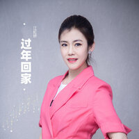 过年回家 - 江虹娇