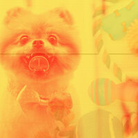 Inspired Separation Anxiety - Music for Dogs Ambience