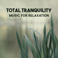 Relaxing Nature Sounds - Spiritual Healing Consort