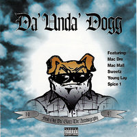 Punk Nigga - Da 'Unda' Dogg