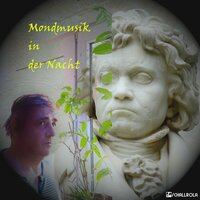 Klaviersonate No. 2 in A-Dur, Op. 2 No. 2: 2. Largo appassionato - Volker Wolfgang Schidlowski & Ludwig van Beethoven