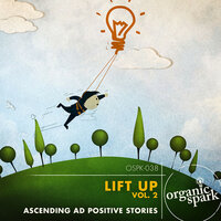 Lifetime Of Achievement - Organic Spark