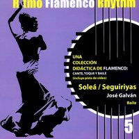 Soleá Sin Taconeo - Jose Galvan