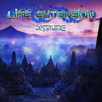 Music for the Masses - Life Extension