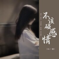 不该碰感情 - QL一星 & 光波