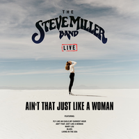 Look Over Yonder Wall - Steve Miller Band