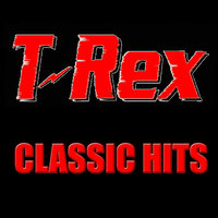 I Love to Boogie - Mickey Finn's T-Rex & Mickey Finn\'s T-Rex
