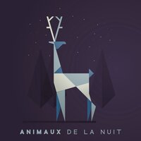 Hibou hululer - Naturel Relaxation Ambiance