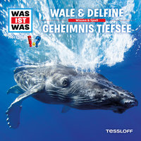 Geheimnis Tiefsee - Teil 10 - Was Ist Was