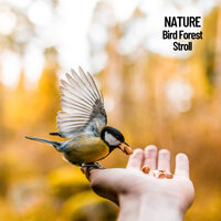 Gentle Rain - Nature Sounds XLE Library & Nature Sounds Nature Music & Sounds of Nature Noise