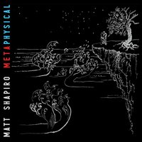 Who Will You Choose - Matt Shapiro