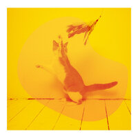 Trio Jazz Soundtrack for Home with Cats - Cat Music Vibes