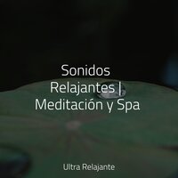 Conexión Mundial - Sueños Triplete & Música de la Naturaleza & Meditacionessa