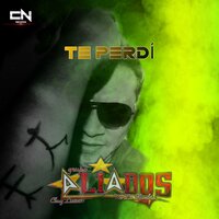 Te Perdí - Aliados De La Kumbia