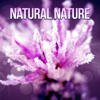 Spirit Free - The Calming Sounds of Nature
