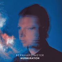 Shields - Bernhard Meyer
