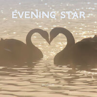 Evening Star - Bloom