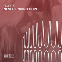 Never Ending Hope - Rospy