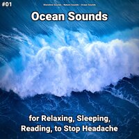 Ocean Sounds Part 6 - shoreline sounds & Nature Sounds & Ocean Sounds