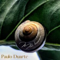 Paradoxaland - Paulo Duarte
