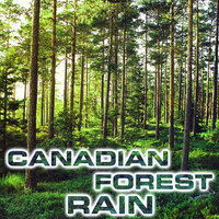 Canadian Forest Rain Ambience - Atmospheres Soundscapes & NatGeo White Noise & NatGeo Nature Sounds & NatGeo Soundscapes