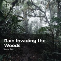 Woodland Precipitation - Nature and Rain & Deep Rain Sampling & Jungle Rain