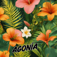 Agonía - Grupo Fantasía & Son Paraná