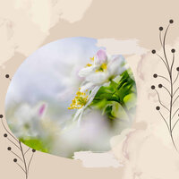 Fun (Music) - Jazz Instrumental Relax Center