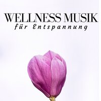 Meditationsmusik - Beruhigende Musik Akademie