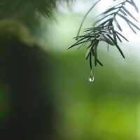 Sporadic Splashes - Lullaby Babies & Yoga Sounds