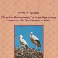 Piano Sonata No. 23 in F Minor, Op. 57: II. Andante con moto - Ludwig van Beethoven & Sylvia Capová