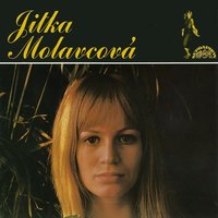 Krajkoví - Jitka Molavcová