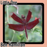 Lately - Ben Hamilton