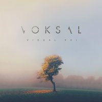Kyoto City - Voksal