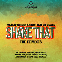 Shake That - Gabri Alonso & MARSAL VENTURA & Aubør & Big Delvee
