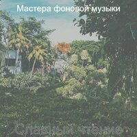 Музыка (Блестящий Расслабляющий) - Мастера фоновой музыки