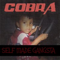 Change Is Good - Cobra