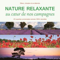Nature relaxante - Merle noir virtuose - Fernand Deroussen