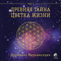 Глава 6. Значение формы и структуры. Развивая модель Творения. Первая форма - тор - Артем Пахомов